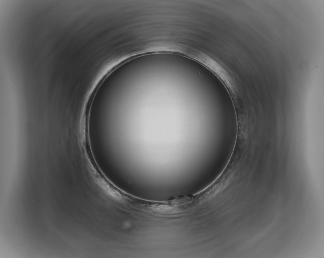 X0000108481140200904031424