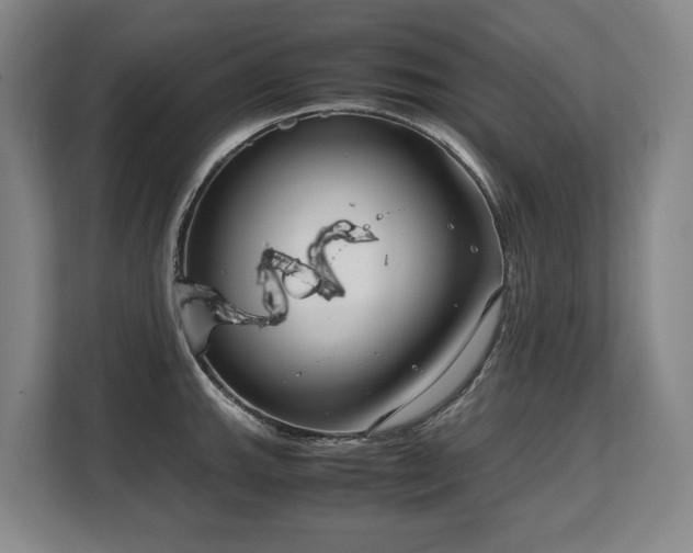 X0000108481143200904031424