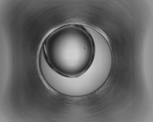 X0000108481144200904031424