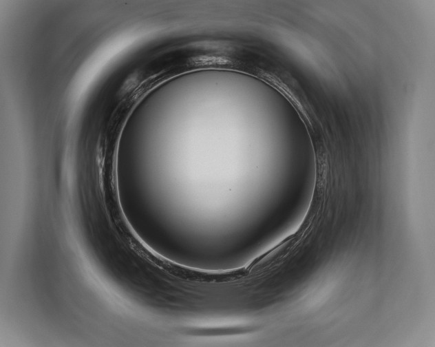 X0000108481151200904031424