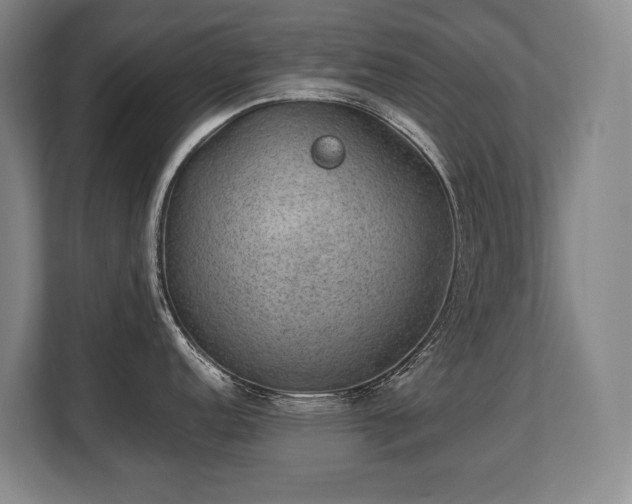 X0000108481152200904031424
