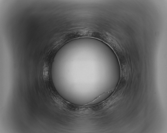 X0000108481154200904031424