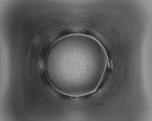 X0000108481155200904031424