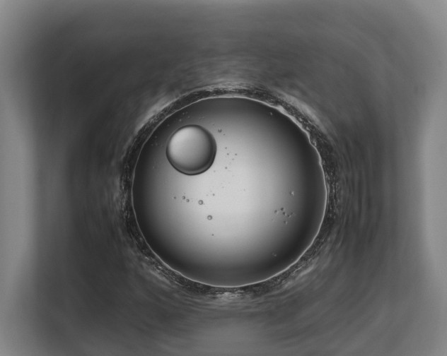 X0000108481160200904031424