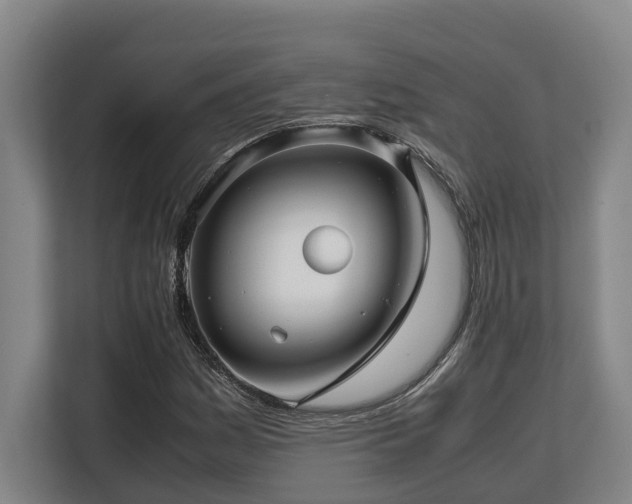 X0000108481161200904031424