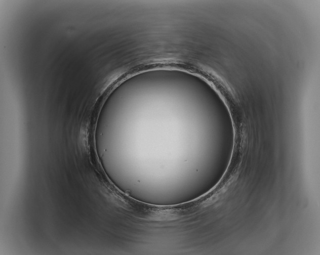 X0000108481162200904031424