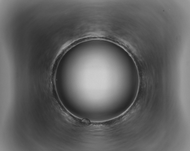 X0000108481168200904031424