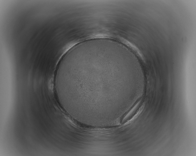 X0000108481170200904031423