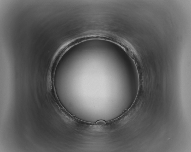 X0000108481172200904031423