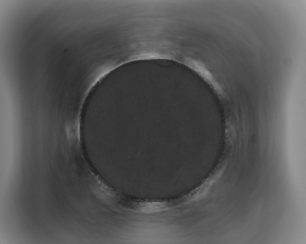 X0000108481173200904031423