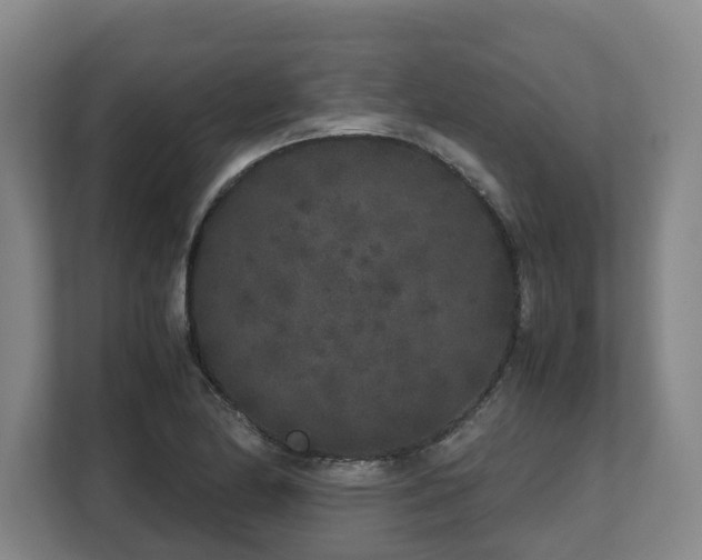X0000108481174200904031423