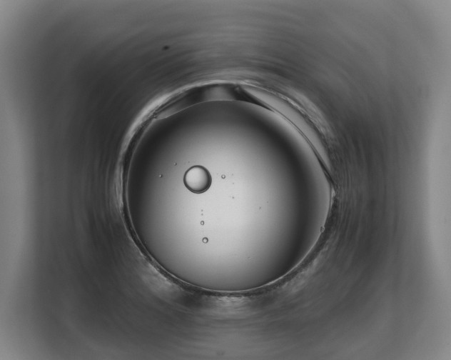 X0000108481180200904031423