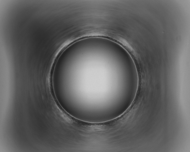 X0000108481181200904031423