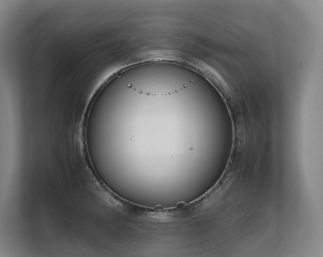 X0000108481182200904031423