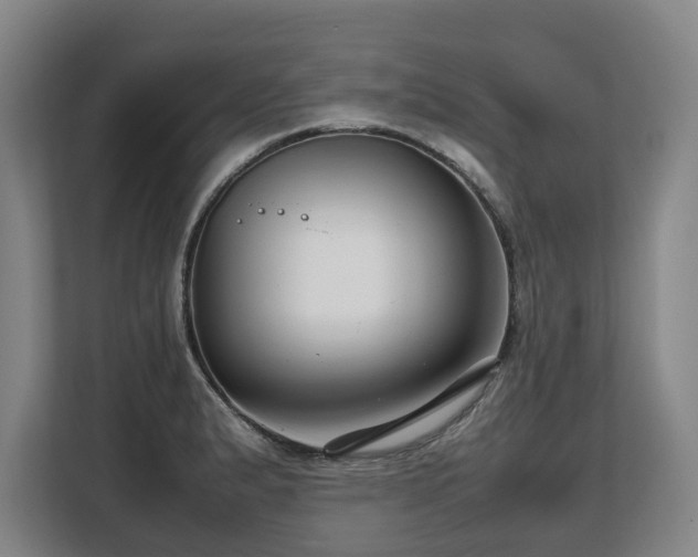 X0000108481183200904031423