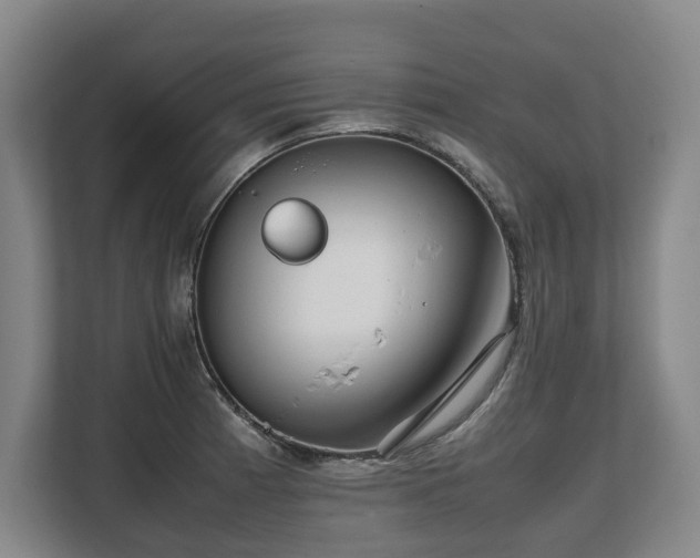 X0000108481185200904031423