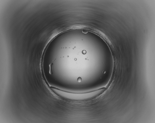 X0000108481186200904031423