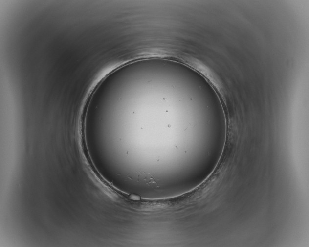 X0000108481187200904031423