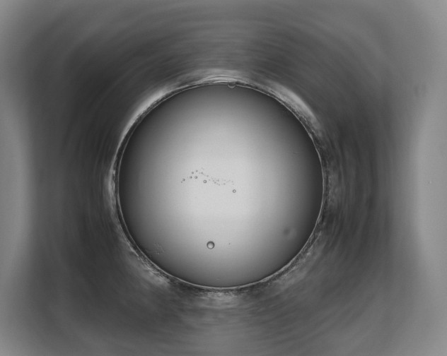 X0000108481190200904031423
