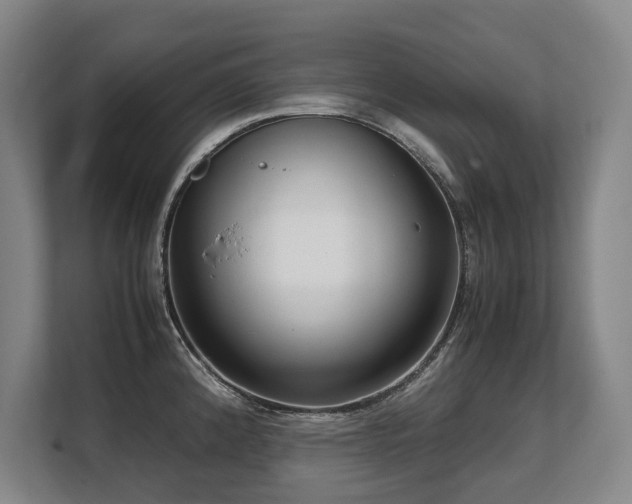 X0000108481192200904031423
