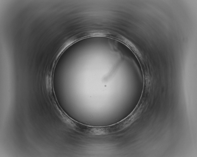 X0000108481194200904031423