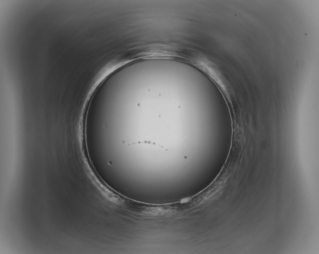 X0000108481195200904031423