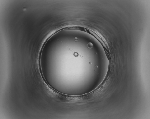X0000108481197200904031423