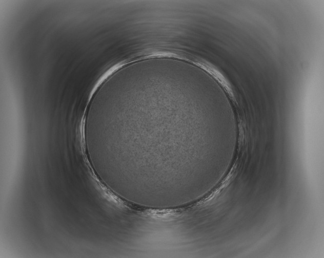 X0000108481198200904031423