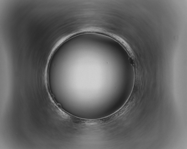 X0000108481199200904031423