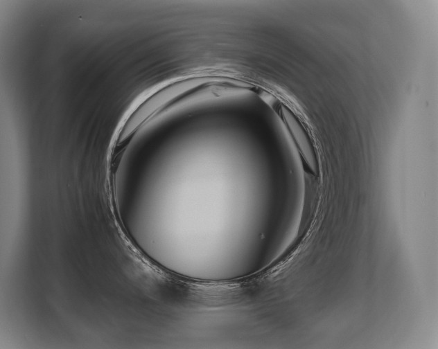 X0000108481200200904031423