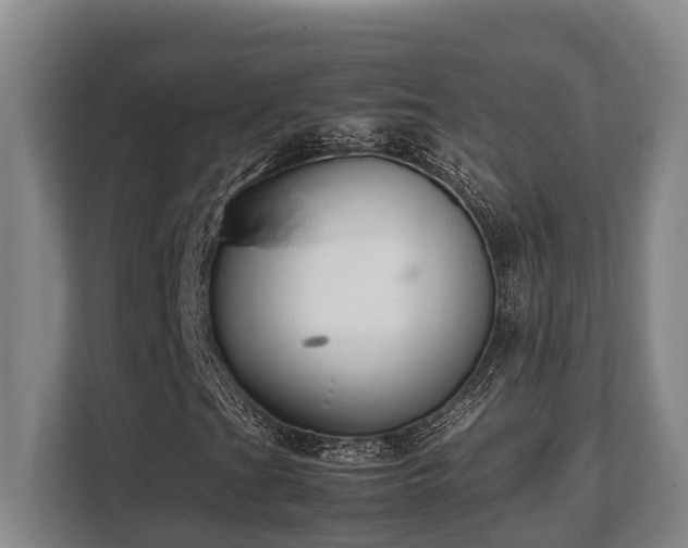 X0000108481201200904031422