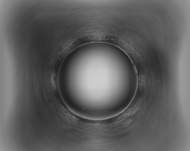 X0000108481202200904031422