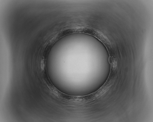 X0000108481204200904031423