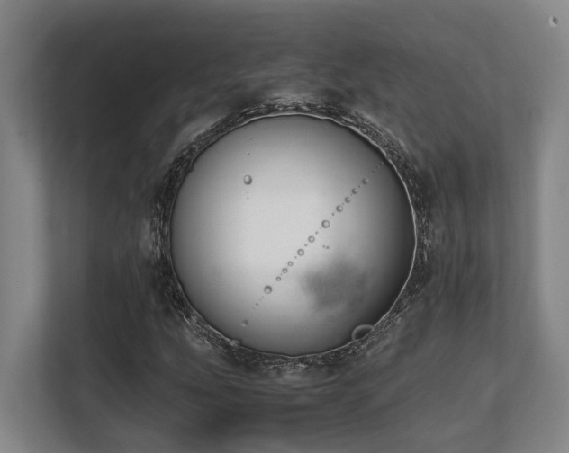 X0000108481207200904031423