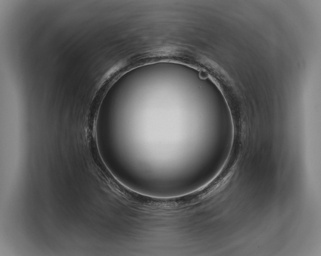X0000108481210200904031423