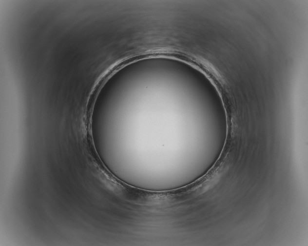 X0000108481212200904031423