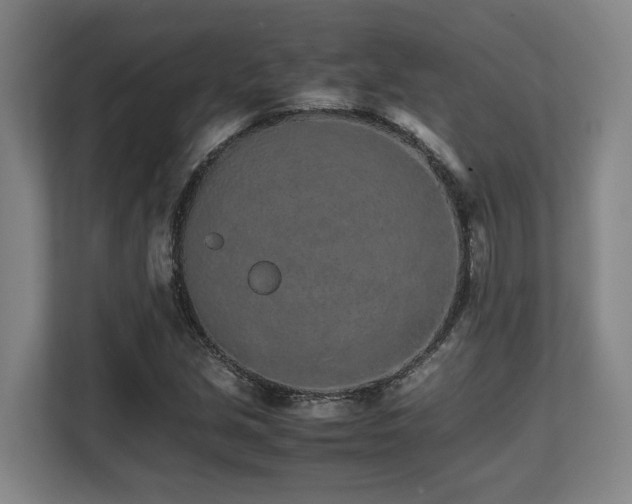 X0000108481213200904031423