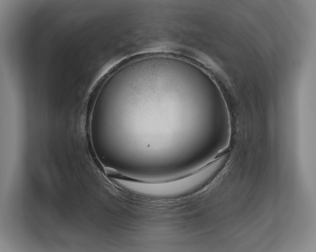 X0000108481216200904031423