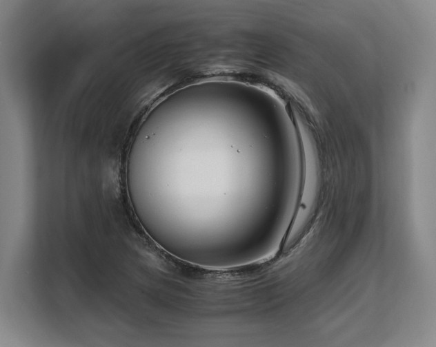 X0000108481217200904031423