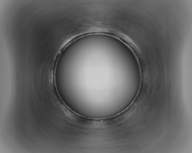 X0000108481220200904031423