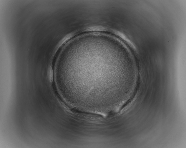 X0000108481221200904031423
