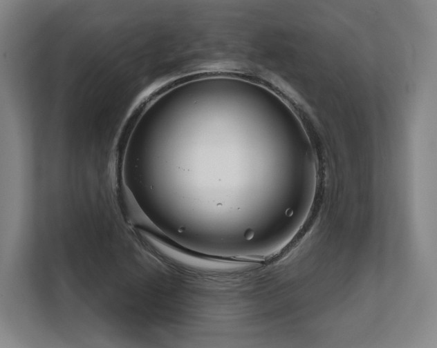 X0000108481222200904031423