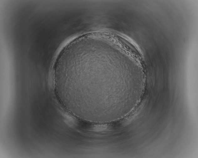 X0000108481223200904031423