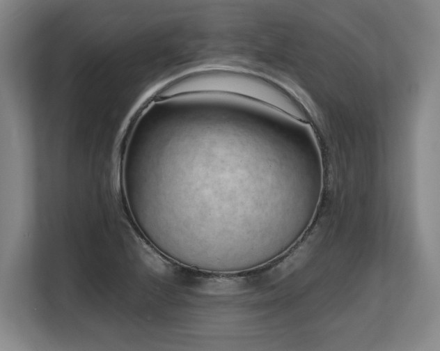 X0000108481224200904031423