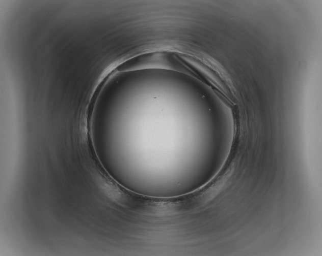 X0000108481226200904031423