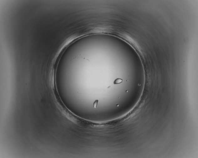 X0000108481227200904031423