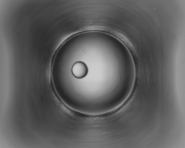 X0000108481228200904031423
