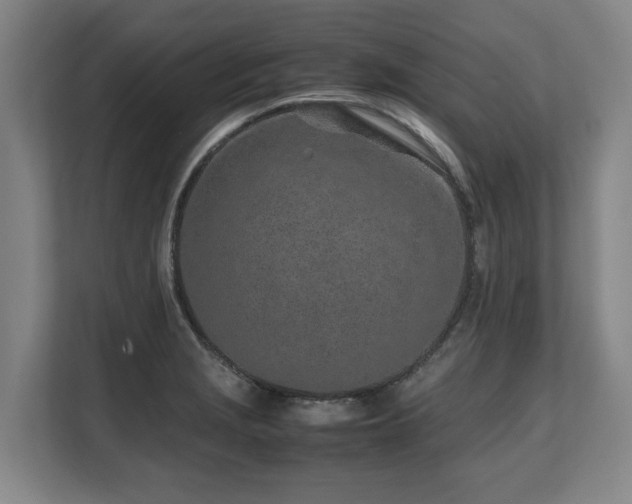 X0000108481229200904031423