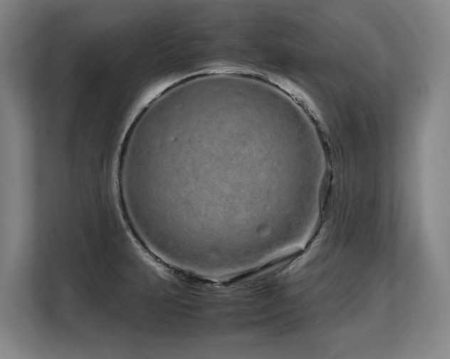 X0000108481231200904031423
