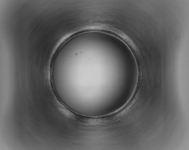 X0000108481232200904031423